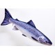 Gaby Salmon / Losos